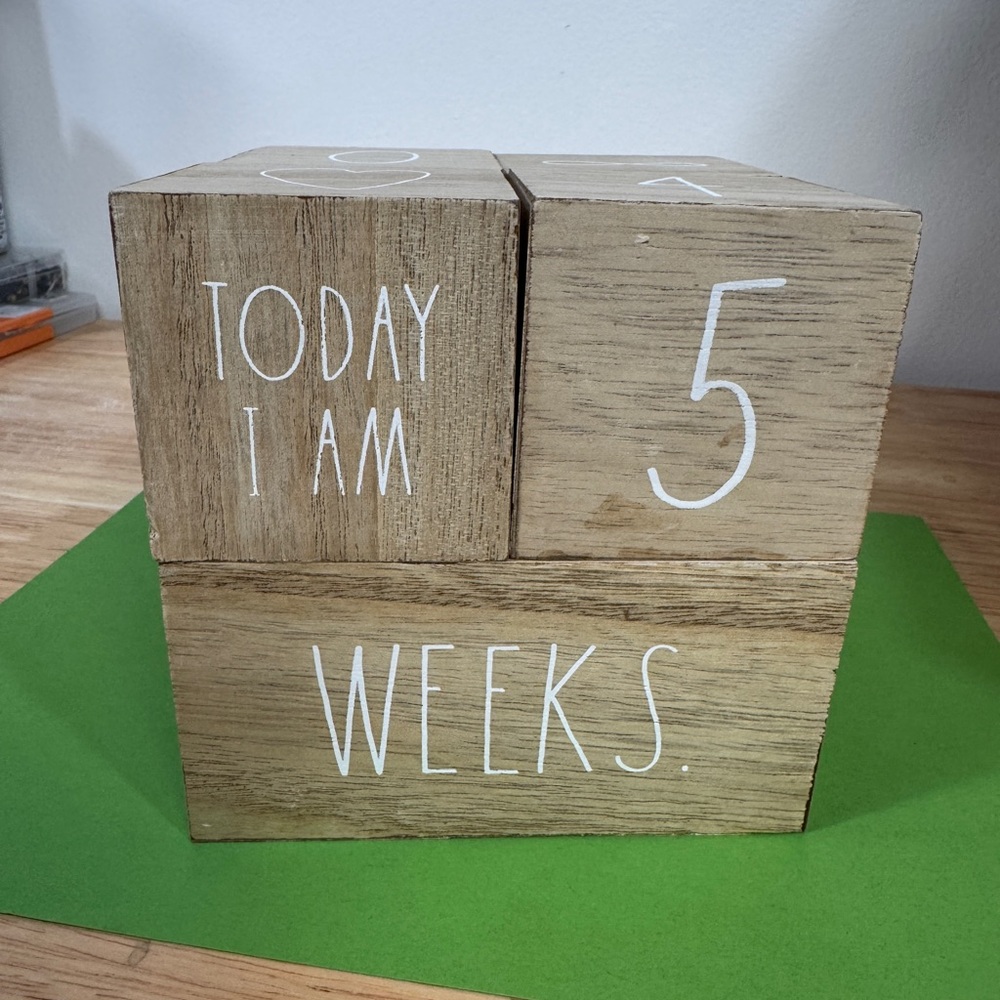 Rae Dunn Wooden Milestone Blocks